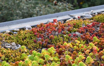 the cost of Rushington green roof installation