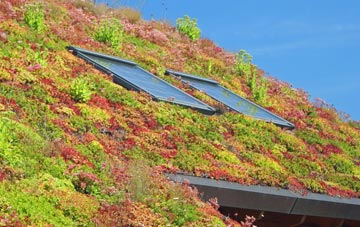 Rushington living roof systems